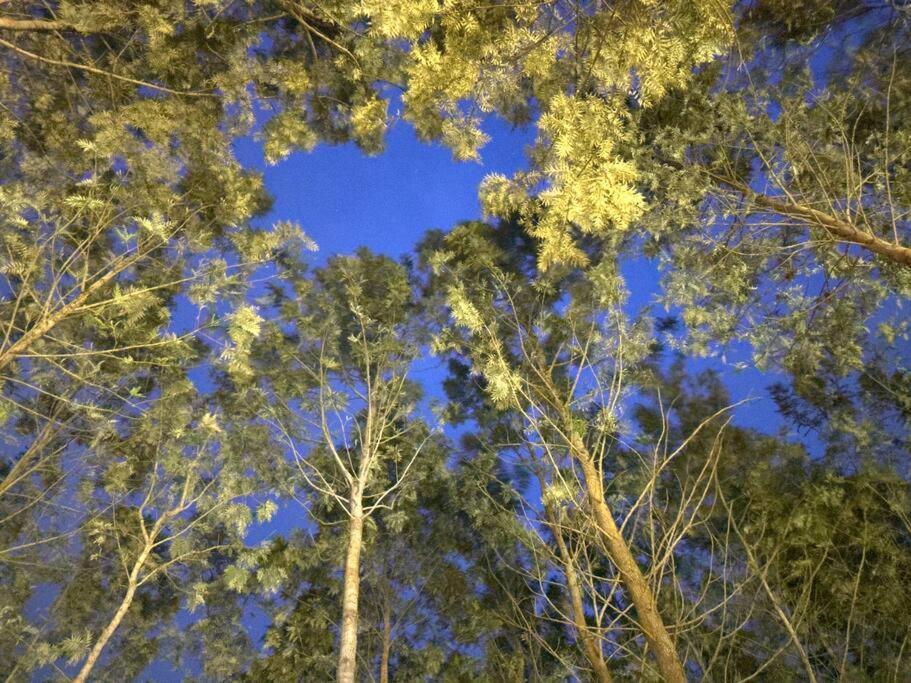 Serenity Farm Stay Hampāpura 외부 사진